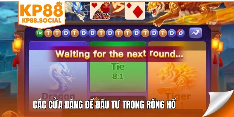 Các cửa đáng để đầu tư trong Rồng Hổ